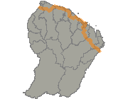 overview